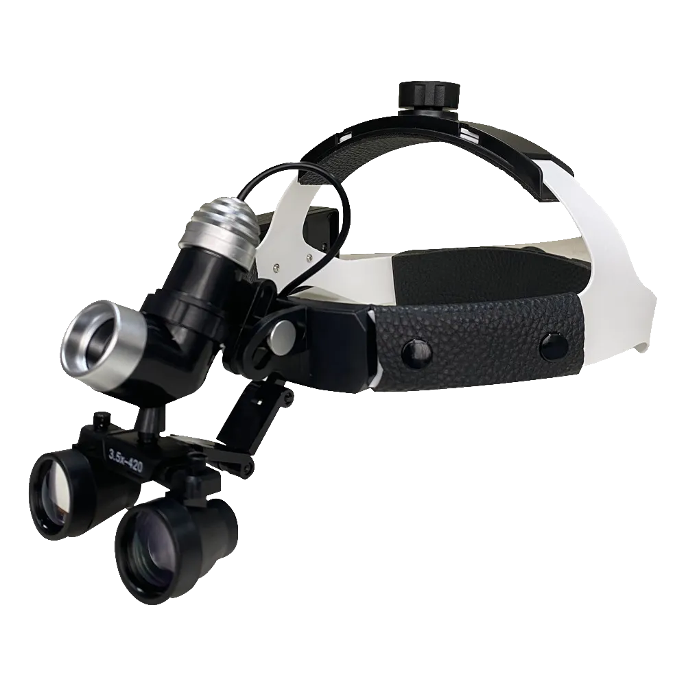 Dental Loupes