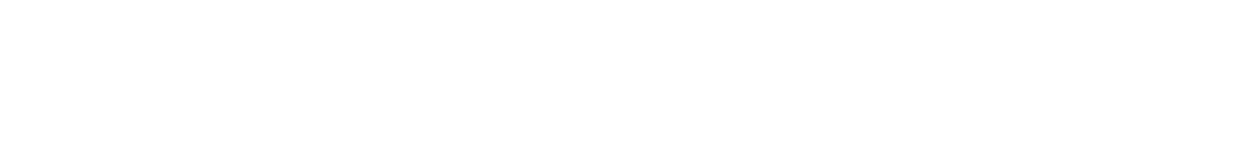 20261001 AMEXORS LOGO White Font